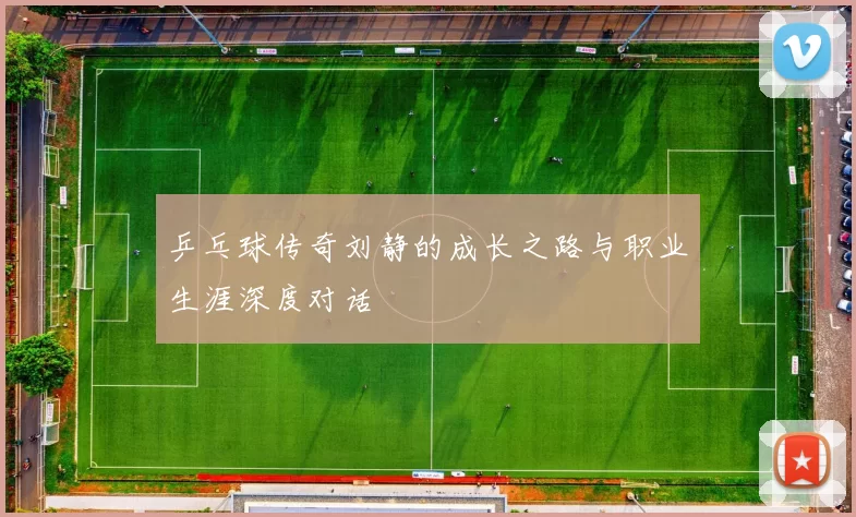 乒乓球传奇刘静的成长之路与职业生涯深度对话