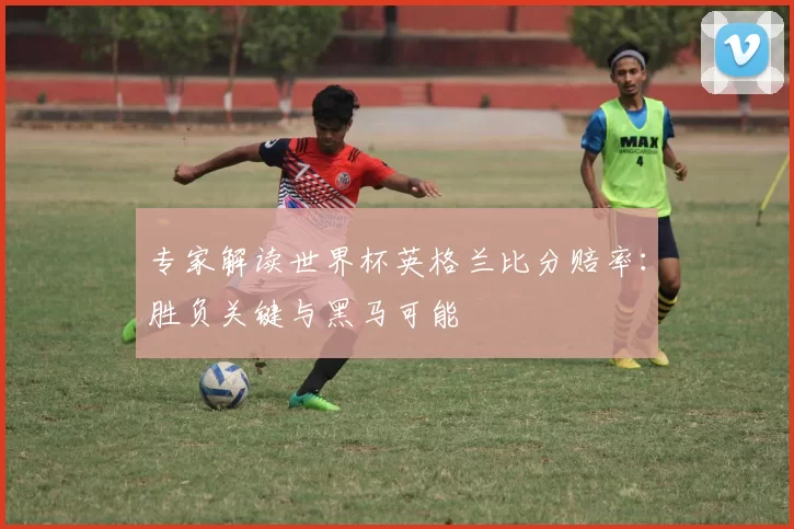 专家解读世界杯英格兰比分赔率：胜负关键与黑马可能
