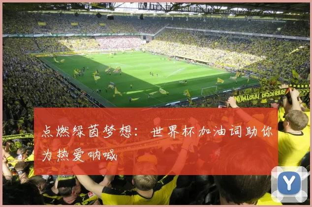点燃绿茵梦想：世界杯加油词助你为热爱呐喊