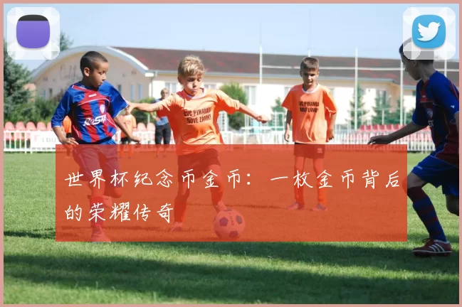 世界杯纪念币金币：一枚金币背后的荣耀传奇