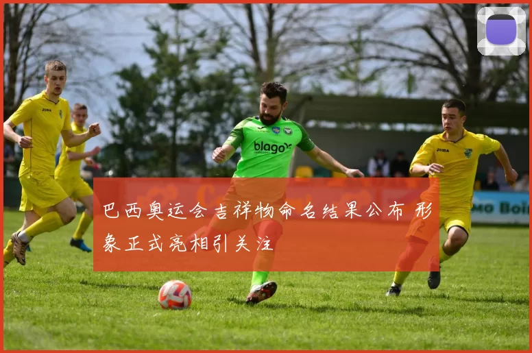 巴西奥运会吉祥物命名结果公布 形象正式亮相引关注