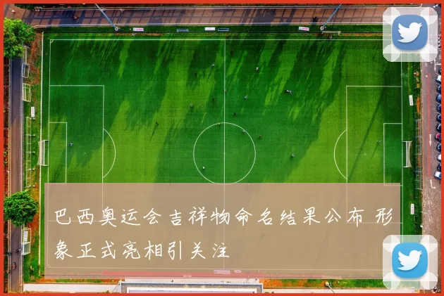 巴西奥运会吉祥物命名结果公布 形象正式亮相引关注