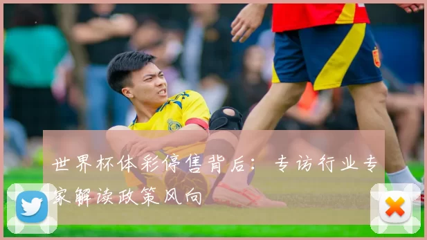 世界杯体彩停售背后：专访行业专家解读政策风向