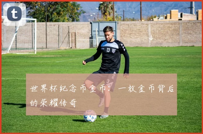世界杯纪念币金币：一枚金币背后的荣耀传奇