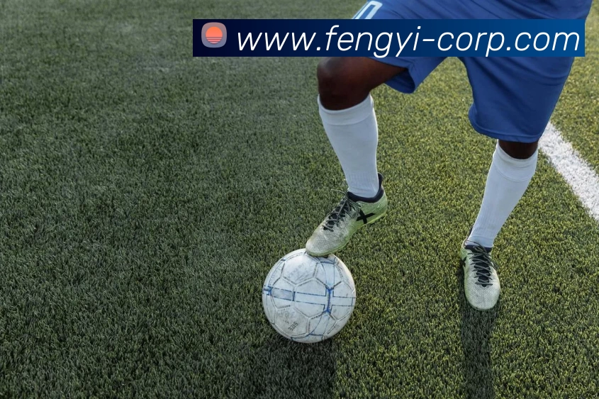 华体会平台生态图